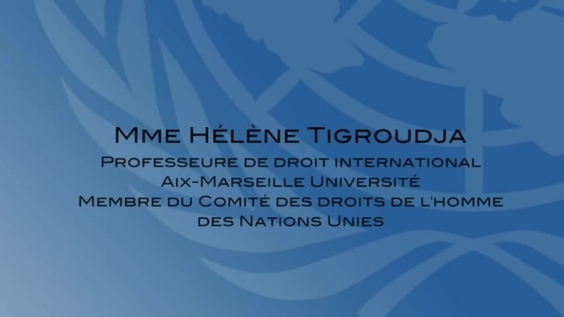 Hélène Tigroudja - L'herméneutique du droit international des droits de l'homme