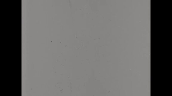 226th and 230th Meetings of Security Council