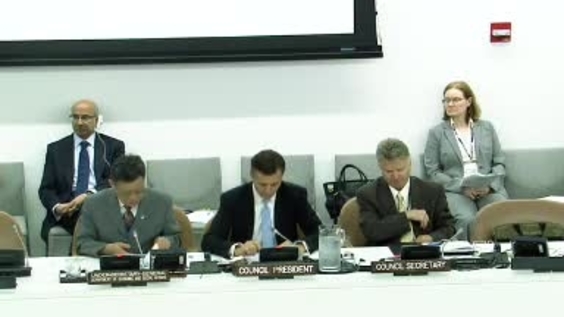 Frances Stewart, Report of the Committee for Development Policy - ECOSOC High-level Segment 2012