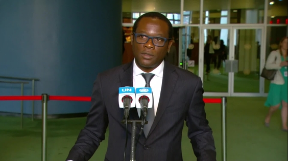 Hugh Todd (Guyana) on the election of the non-permanent members of the Security Council - General Assembly Media Stakeout
