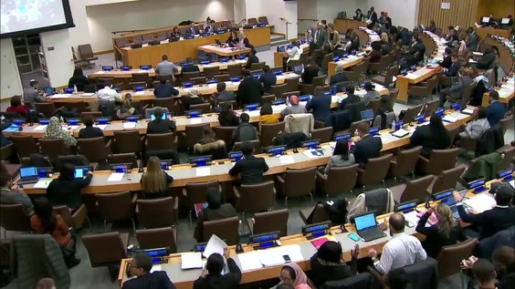 Third Committee, 52nd meeting - General Assembly, 74th session
