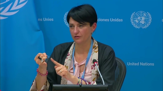 Press Conference: Chair of the working group on enforced disappearances, Gabriella Citroni