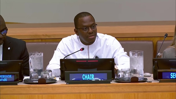 Programme of Action on Small Arms and Light Weapons — Ninth Biennial Meeting of States, (1st Meeting) Open-Ended Technical Expert Group