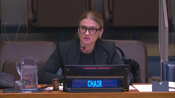 3rd plenary meeting - 64th Session of the Commission for Social Development (CSocD64)