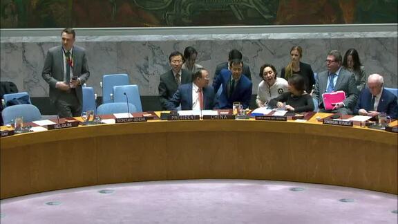 Peace and Security in Africa - 8743rd Security Council Meeting - Part 1
