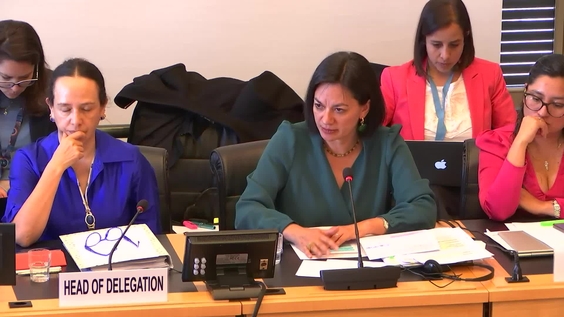 593rd Meeting, 40th Session, Committee on Migrant Workers (CMW)
