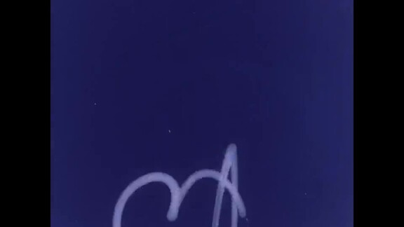 996th and 997th Meetings of First Committee