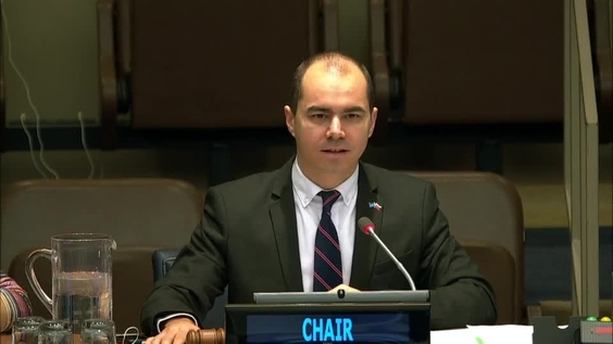 Fourth Committee, 24th meeting - General Assembly, 74th session.