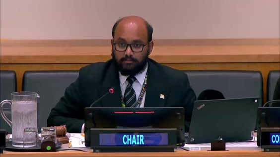 Second Committee, 13th plenary meeting - General Assembly, 81st session