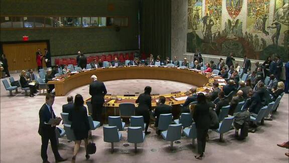 8142nd Security Council Meeting: Situation in Middle East