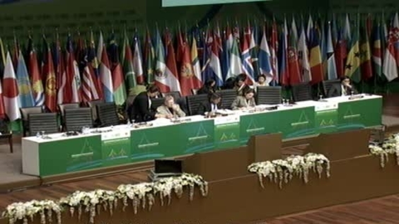 13th plenary meeting - UN Forum on Forests, 10th session