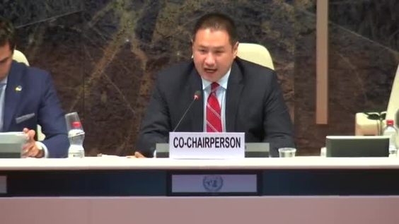 Panel Discussion: Enabling Effective Youth Participation - 1st Session Forum on Human Rights, Democracy and Rule of Law