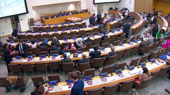 (2nd meeting) Programme of Action on Small Arms and Light Weapons — Fourth Review Conference (RevCon4)