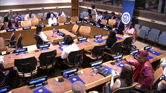 Ministerial-Level Roundtable on Efficient Governance Frameworks for Small and Structurally Constrained States