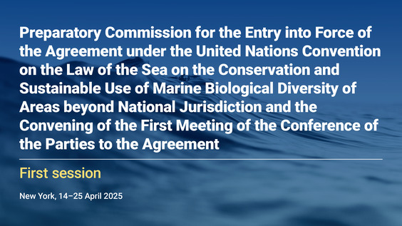 Preparatory Commission: Agreement on Marine Biodiversity of Areas Beyond National Jurisdiction (First Session, Informal Working Group)