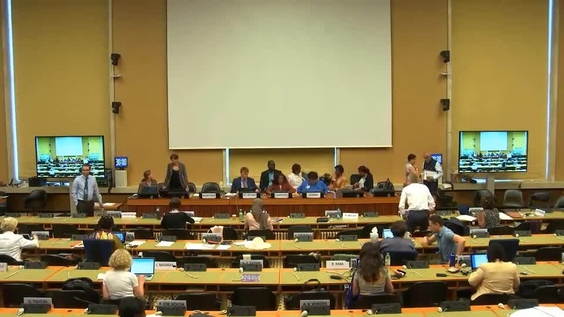 Consideration of Guyana - 1694th Meeting, 73rd Session Committee on the Elimination of Discrimination Against Women 