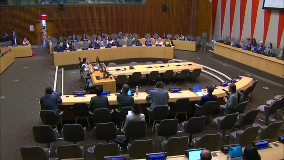 Economic and Social Council: 38th plenary meeting, 2024 session
