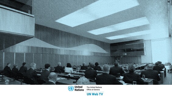 Consultations 4th Part - 5th Session IIEM on Law Enforcement
