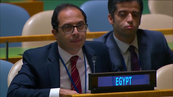 Egypt - Second Right of Reply, 79th Session