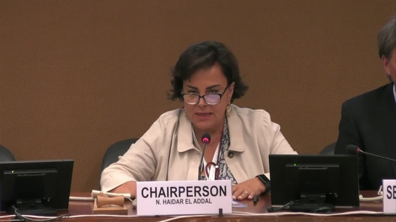 2149th Meeting, 91st Session, Committee on the Elimination of Discrimination against Women (CEDAW)