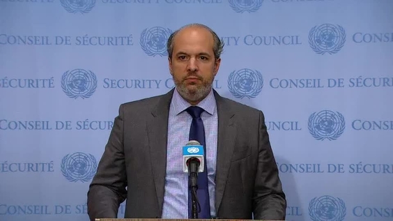 José A. Blanco (Dominican Republic) on the situation in Haiti - Security Council Media Stakeout