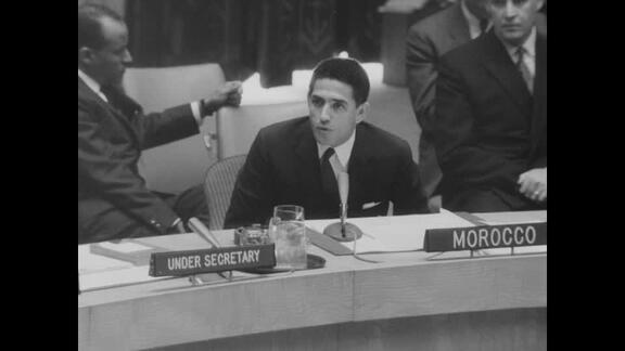 1038th, 1039th Meetings of Security Council