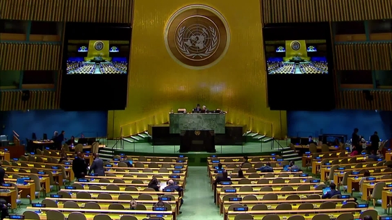 General Assembly: 60th plenary meeting, 78th session