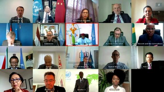 Humanitarian Effects of Environmental Degradation and Peace and Security - Security Council Open VTC