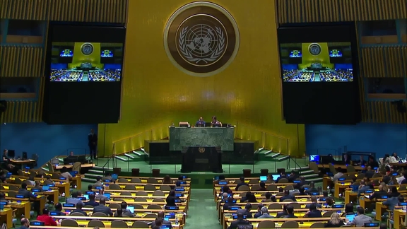 General Assembly: 88th plenary meeting, 78th session
