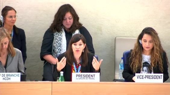 ID: WG on discrimination against women - 7th Meeting, 53rd Regular Session of Human Rights Council