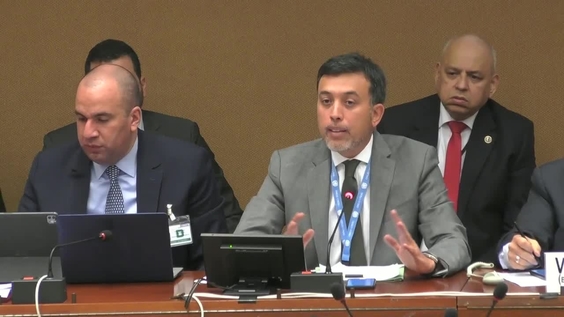 497th Meeting, 35th Session, Committee on Migrant Workers (CMW)