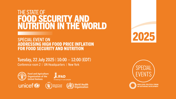 Special Event on Addressing High Food Price Inflation for Food Security and Nutrition