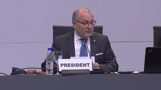 Jorge Faurie (President of the Conference) at the Closing of the UN Conference on South-South Cooperation