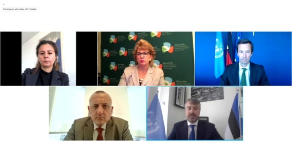 Joint Stakeout by Deputy Permanent Representative of Estonia and European Union Members