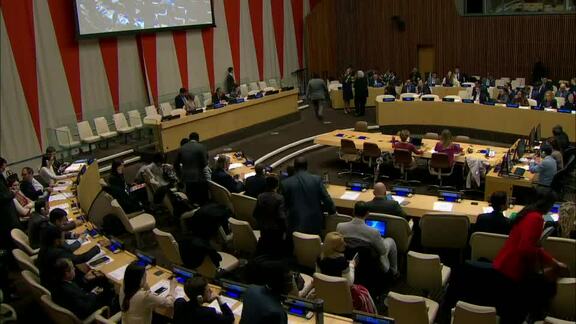 5th Plenary Meeting of Economic and Social Council Session 2020