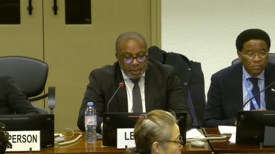 2196th Meeting, 92nd Session, Committee on the Elimination of Discrimination against Women (CEDAW)