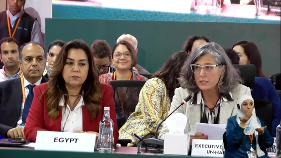 Ministerial Roundtable (World Urban Forum 12th Session)