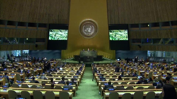 General Assembly, 93rd plenary meeting, 71st session