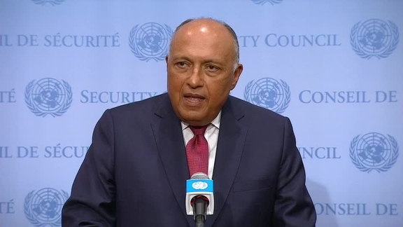 Sameh Shoukry (Egypt) on Peace and Security in Africa - Security Council Media Stakeout
