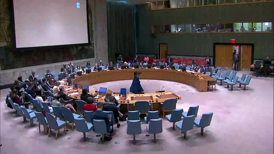 The situation in the Middle East - Security Council, 9038th meeting