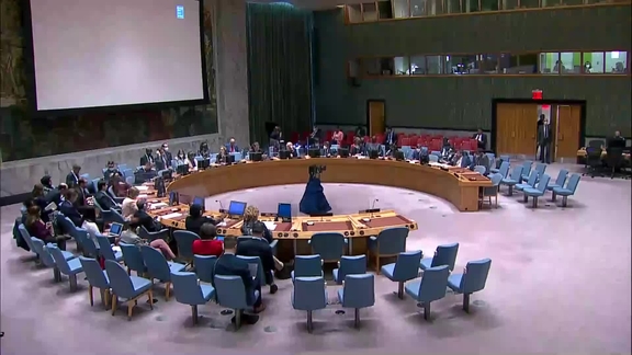 The situation in the Middle East - Security Council, 9038th Meeting