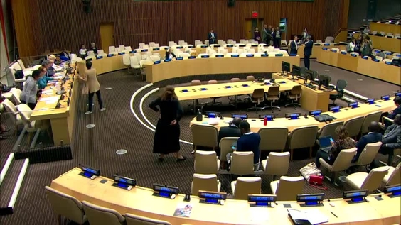Executive Board of UNDP, UNFPA and UNOPS - Second Regular Session (3-6 September 2019) (8th meeting)