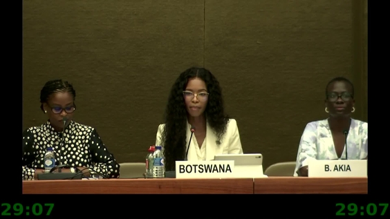 2166th Meeting, 91st Session, Committee on the Elimination of Discrimination against Women (CEDAW)