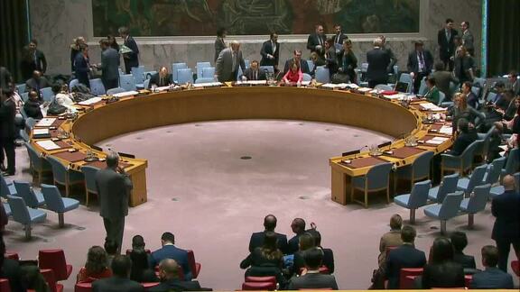 8193rd 8194th and 8195th Security Council Meetings