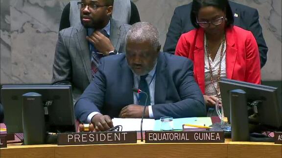 8461st Security Council Meeting: Situation in Ukraine