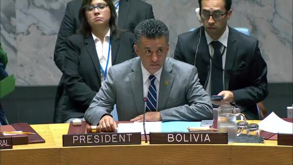 8373rd Security Council Meeting: Situation in Middle East