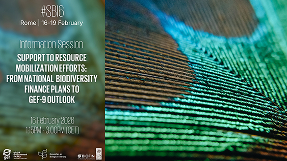 Food and Agriculture Organization of the United Nations (FAO)