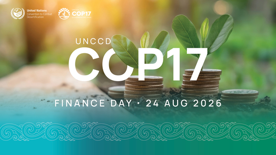Ministerial dialogue on Innovative Financial Mechanisms for Healthy Land and Drought Resilience - UNCCD COP17