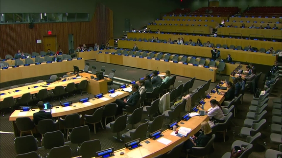 Economic and Social Council: 17th plenary meeting - 2024 ECOSOC Operational Activities Segment