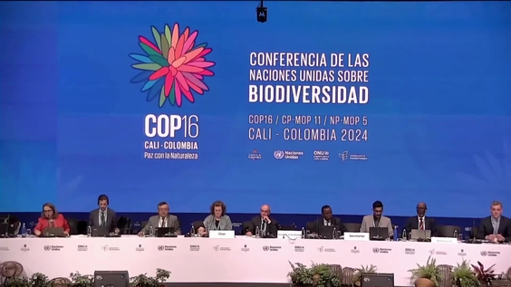 Working Group 1 (2nd meeting) at COP16 – United Nations Biodiversity Conference 2024